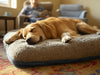 Orthopedic Dog Bed Large: Choosing the Right Size for Your Dog’s Sleeping Style