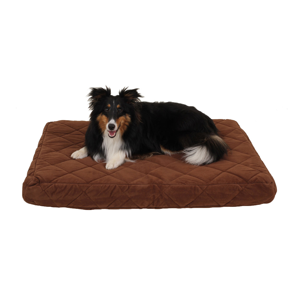 Orthopedic Memory Foam Dog Bed